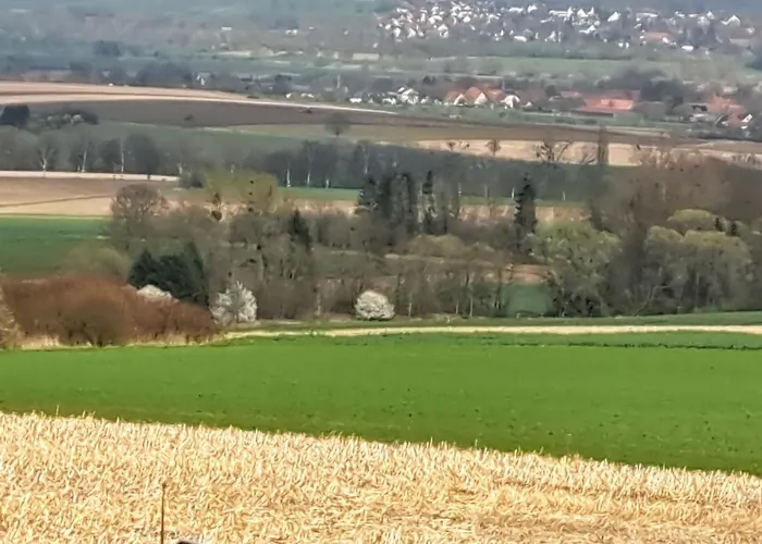 Zur Schoenen Aussicht